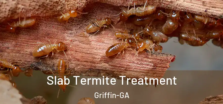  Slab Termite Treatment Griffin-GA