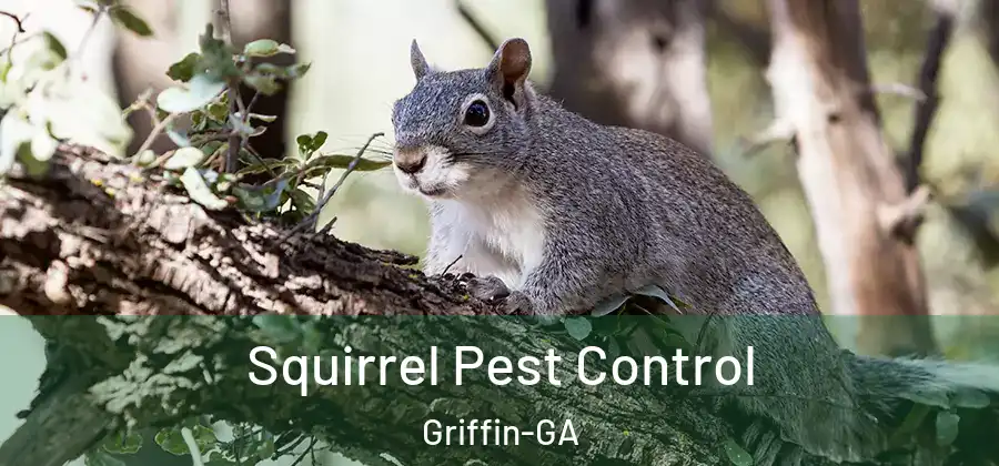  Squirrel Pest Control Griffin-GA
