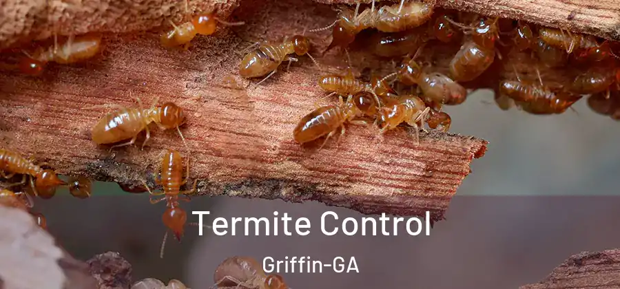 Termite Control Griffin-GA
