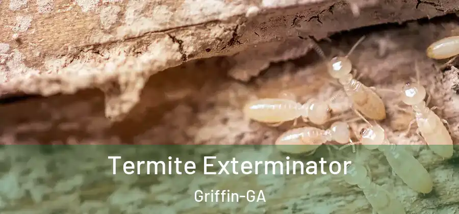  Termite Exterminator Griffin-GA