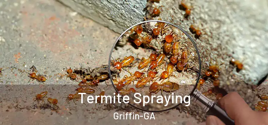  Termite Spraying Griffin-GA