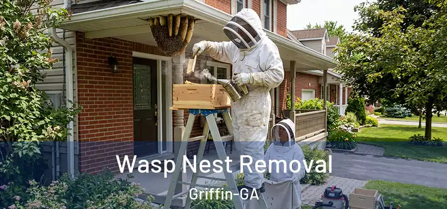  Wasp Nest Removal Griffin-GA