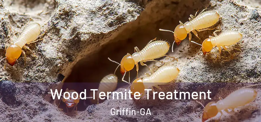Wood Termite Treatment Griffin-GA