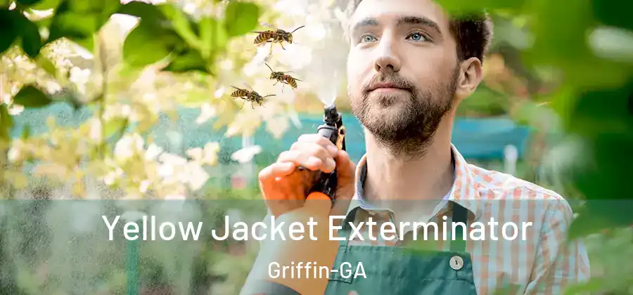 Yellow Jacket Exterminator Griffin-GA