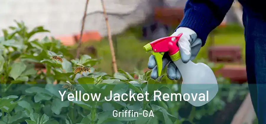 Yellow Jacket Removal Griffin-GA